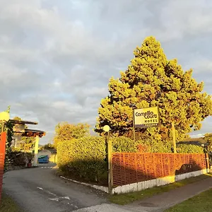 Camellia Court Family Taupo